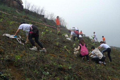 今年逾700人報(bào)名參加，為一幅去年被山火燒去大范圍林木的山坡種植約6,000棵樹苗。